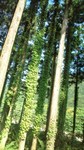 20120506091916.jpg
