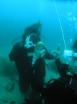 pa151432.jpg